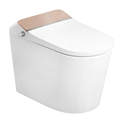 OT-102095智能坐便器