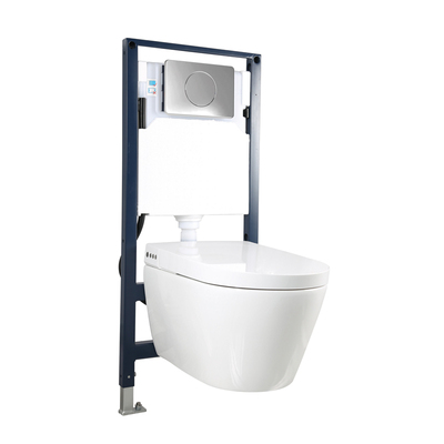 OT-102001暗装职能马桶